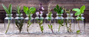 aromathérapie 3