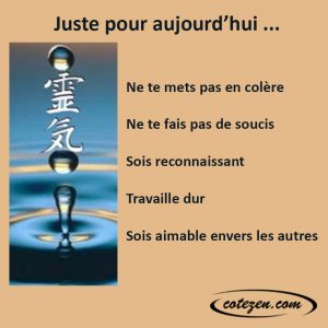 principe reiki