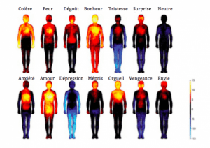 Cartographie des émotions dans le corps